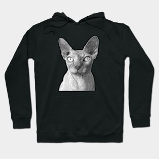 Black and White Sphynx Hoodie